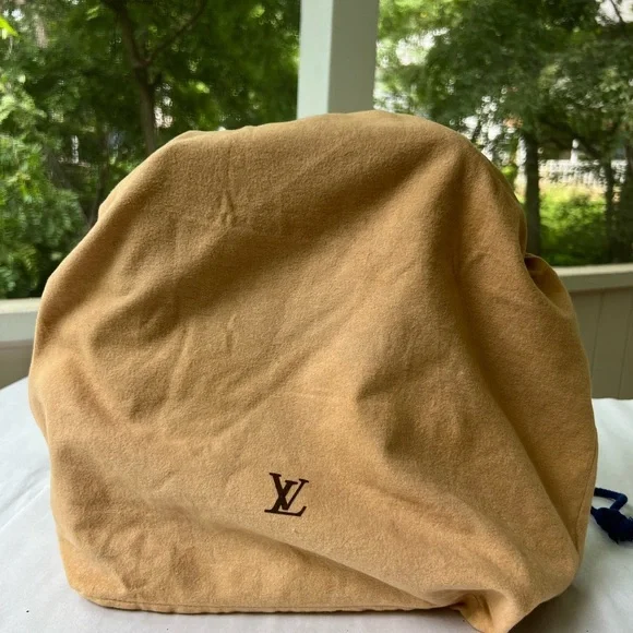 Louis Vuitton Danube MM Crossbody - Picture 13 of 15